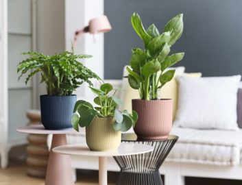Elho Plants in decorative pots standing on tables